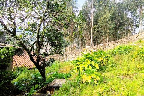 Villa i Viana do Castelo, Viana do Castelo, Viana do Castelo - € 155.000 | Ref: S244 - foto 6