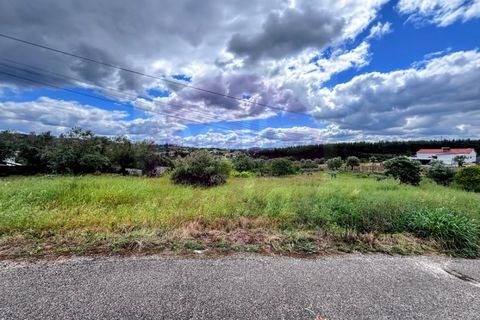 Villa i Tomar, Santarem, Tomar - € 280.000 | Ref: M 475 - foto 24