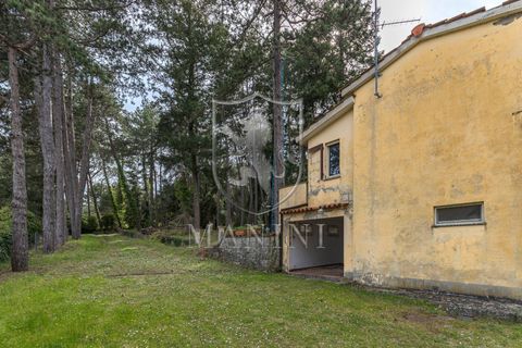 Landejendom i Arezzo, Arezzo, Arezzo - € 499.000 | Ref: 464 - foto 45