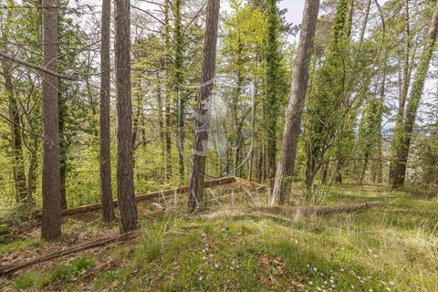 Landejendom i Arezzo, Arezzo, Arezzo - € 499.000 | Ref: 464 - foto 50