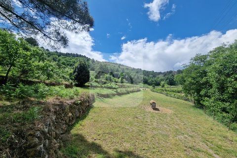Helårsgrund i Vila Real, Vila Real, Vila Real - € 130.000 | Ref: TER_1157 - foto 2