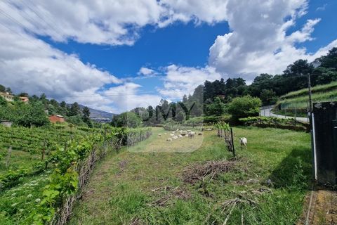 Helårsgrund i Vila Real, Vila Real, Vila Real - € 130.000 | Ref: TER_1157 - foto 4