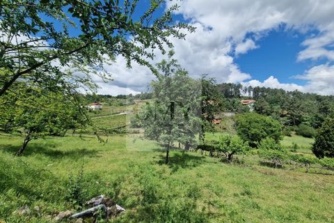 Helårsgrund i Vila Real, Vila Real, Vila Real - € 130.000 | Ref: TER_1157 - foto 7