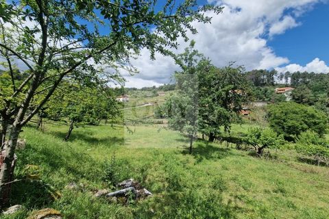 Helårsgrund i Vila Real, Vila Real, Vila Real - € 130.000 | Ref: TER_1157 - foto 8
