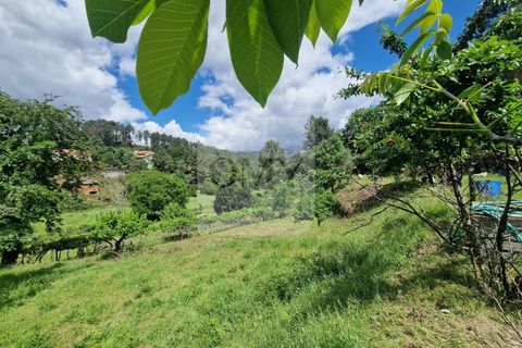 Helårsgrund i Vila Real, Vila Real, Vila Real - € 130.000 | Ref: TER_1157 - foto 9