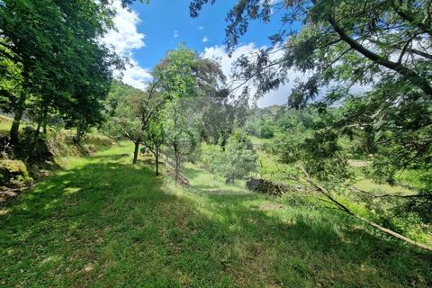 Helårsgrund i Vila Real, Vila Real, Vila Real - € 130.000 | Ref: TER_1157 - foto 10
