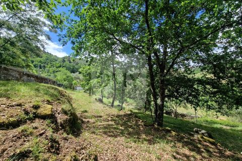 Helårsgrund i Vila Real, Vila Real, Vila Real - € 130.000 | Ref: TER_1157 - foto 12