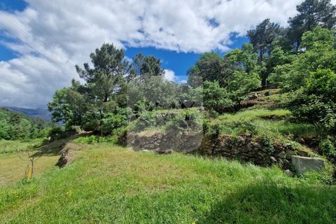 Helårsgrund i Vila Real, Vila Real, Vila Real - € 130.000 | Ref: TER_1157 - foto 13