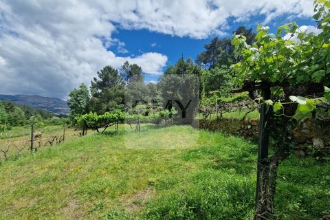 Helårsgrund i Vila Real, Vila Real, Vila Real - € 130.000 | Ref: TER_1157 - foto 15