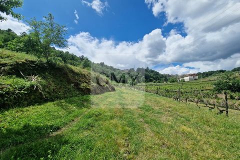 Helårsgrund i Vila Real, Vila Real, Vila Real - € 130.000 | Ref: TER_1157 - foto 18