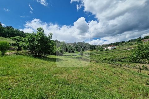 Helårsgrund i Vila Real, Vila Real, Vila Real - € 130.000 | Ref: TER_1157 - foto 19