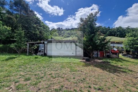 Helårsgrund i Vila Real, Vila Real, Vila Real - € 130.000 | Ref: TER_1157 - foto 20