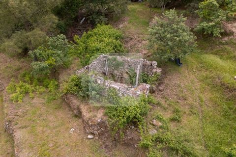 Helårsgrund i Vila Real, Vila Real, Vila Real - € 130.000 | Ref: TER_1157 - foto 11