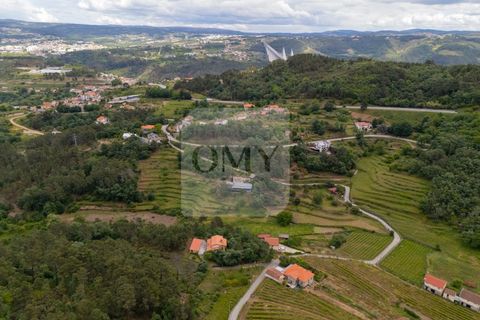Helårsgrund i Vila Real, Vila Real, Vila Real - € 130.000 | Ref: TER_1157 - foto 16