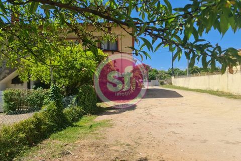 Lejlighed i Anadia, Aveiro, Anadia - € 174.000 | Ref: 010501080 - foto 23