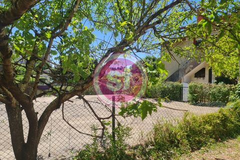 Lejlighed i Anadia, Aveiro, Anadia - € 174.000 | Ref: 010501080 - foto 24