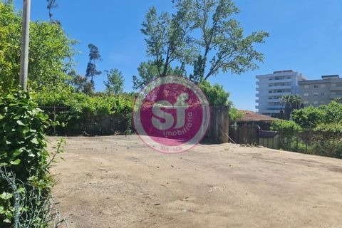 Lejlighed i Anadia, Aveiro, Anadia - € 174.000 | Ref: 010501080 - foto 26