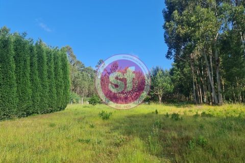 Tomt i Anadia, Aveiro, Anadia - € 280 000 | Ref: 010501081 - foto 26
