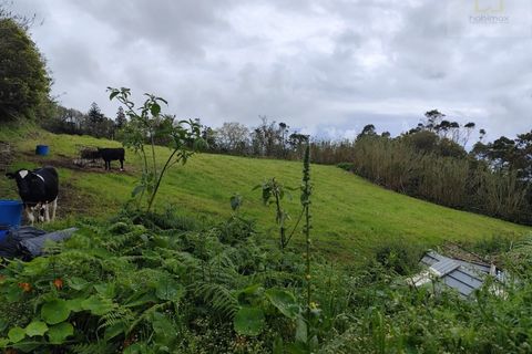 Helårsgrund i Candelaria, Pico, Candelaria - € 11.600 | Ref: 7113 - foto 3