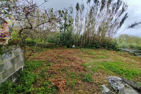 Villa a Candelaria, Pico, Candelaria - € 172.000 | Ref: 7112 - foto 15