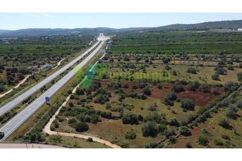 Helårsgrund i Paderne, Faro, Paderne - € 37.000 | Ref: LT-7245 - foto 2