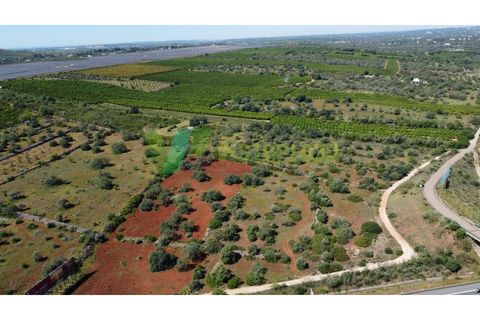 Helårsgrund i Paderne, Faro, Paderne - € 37.000 | Ref: LT-7245 - foto 7