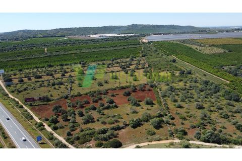 Helårsgrund i Paderne, Faro, Paderne - € 37.000 | Ref: LT-7245 - foto 9