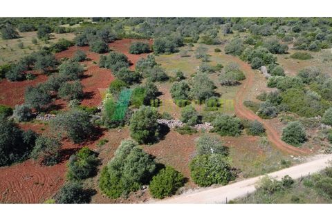 Helårsgrund i Paderne, Faro, Paderne - € 37.000 | Ref: LT-7245 - foto 11