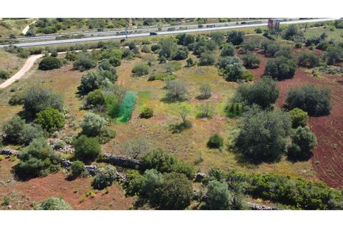 Helårsgrund i Paderne, Faro, Paderne - € 37.000 | Ref: LT-7245 - foto 14