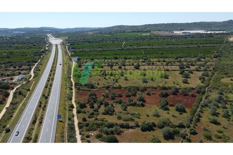 Helårsgrund i Paderne, Faro, Paderne - € 37.000 | Ref: LT-7245 - foto 16