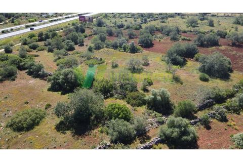 Helårsgrund i Paderne, Faro, Paderne - € 37.000 | Ref: LT-7245 - foto 17