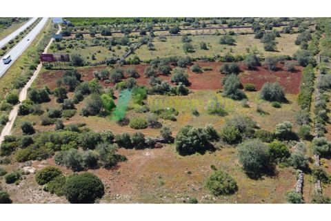Helårsgrund i Paderne, Faro, Paderne - € 37.000 | Ref: LT-7245 - foto 19