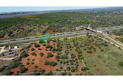 Helårsgrund i Paderne, Faro, Paderne - € 57.000 | Ref: LT-7246 - foto 2