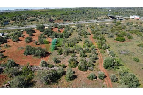Helårsgrund i Paderne, Faro, Paderne - € 57.000 | Ref: LT-7246 - foto 3
