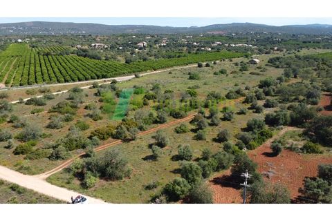 Helårsgrund i Paderne, Faro, Paderne - € 57.000 | Ref: LT-7246 - foto 5