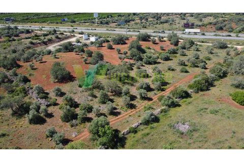 Helårsgrund i Paderne, Faro, Paderne - € 57.000 | Ref: LT-7246 - foto 15
