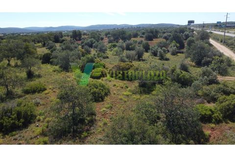 Helårsgrund i Paderne, Faro, Paderne - € 57.000 | Ref: LT-7246 - foto 16