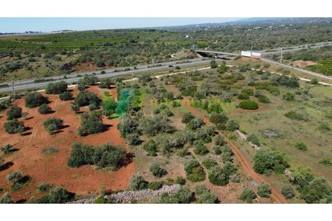 Helårsgrund i Paderne, Faro, Paderne - € 57.000 | Ref: LT-7246 - foto 21