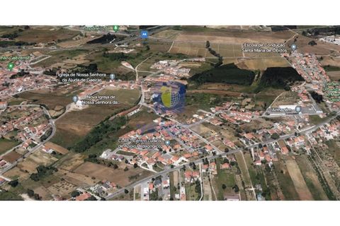 Helårsgrund i Santo Onofre e Serra do Bouro, Leiria, Santo Onofre e Serra do Bouro - € 90.000 | Ref: CAL-217108 - foto 2