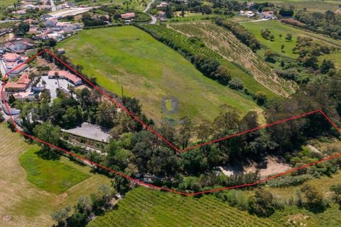 Villa i Carvalhal, Leiria, Carvalhal - € 1.750.000 | Ref: CAL-217105 - foto 2