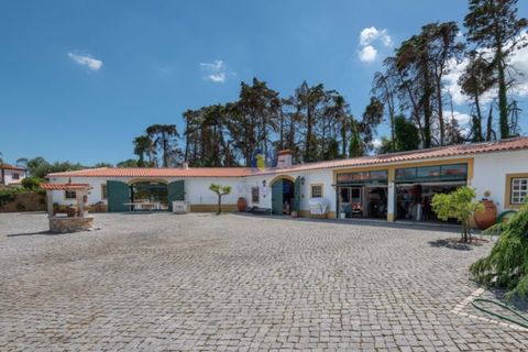 Villa i Carvalhal, Leiria, Carvalhal - € 1.750.000 | Ref: CAL-217105 - foto 4