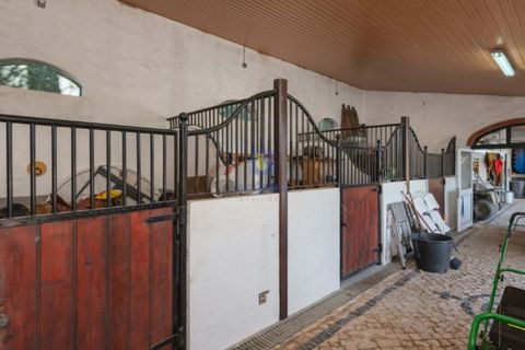 Villa i Carvalhal, Leiria, Carvalhal - € 1.750.000 | Ref: CAL-217105 - foto 18