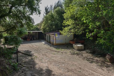 Villa i Carvalhal, Leiria, Carvalhal - € 1.750.000 | Ref: CAL-217105 - foto 26