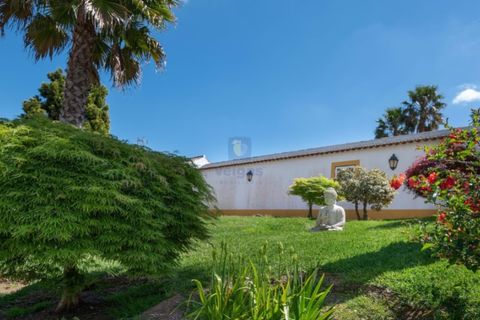 Villa i Carvalhal, Leiria, Carvalhal - € 1.750.000 | Ref: CAL-217105 - foto 28