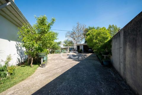 Villa i Santo Tirso, Porto, Santo Tirso - € 430.000 | Ref: 261/M/04049 - foto 21