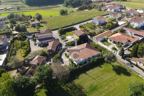 Villa i Santo Tirso, Porto, Santo Tirso - € 430.000 | Ref: 261/M/04049 - foto 28