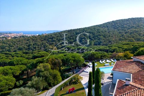 Villa i Sainte-Maxime, Var, Sainte-Maxime - € 10.700.000 | Ref: 86896493 - foto 3