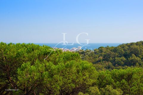 Villa i Sainte-Maxime, Var, Sainte-Maxime - € 10.700.000 | Ref: 86896493 - foto 5