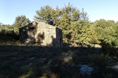 Landejendom i Penalva do Castelo, Viseu, Penalva do Castelo - € 17.500 | Ref: Q34 - foto 7