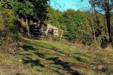 Landejendom i Penalva do Castelo, Viseu, Penalva do Castelo - € 17.500 | Ref: Q34 - foto 10